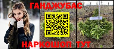 гидропоника Краснознаменск